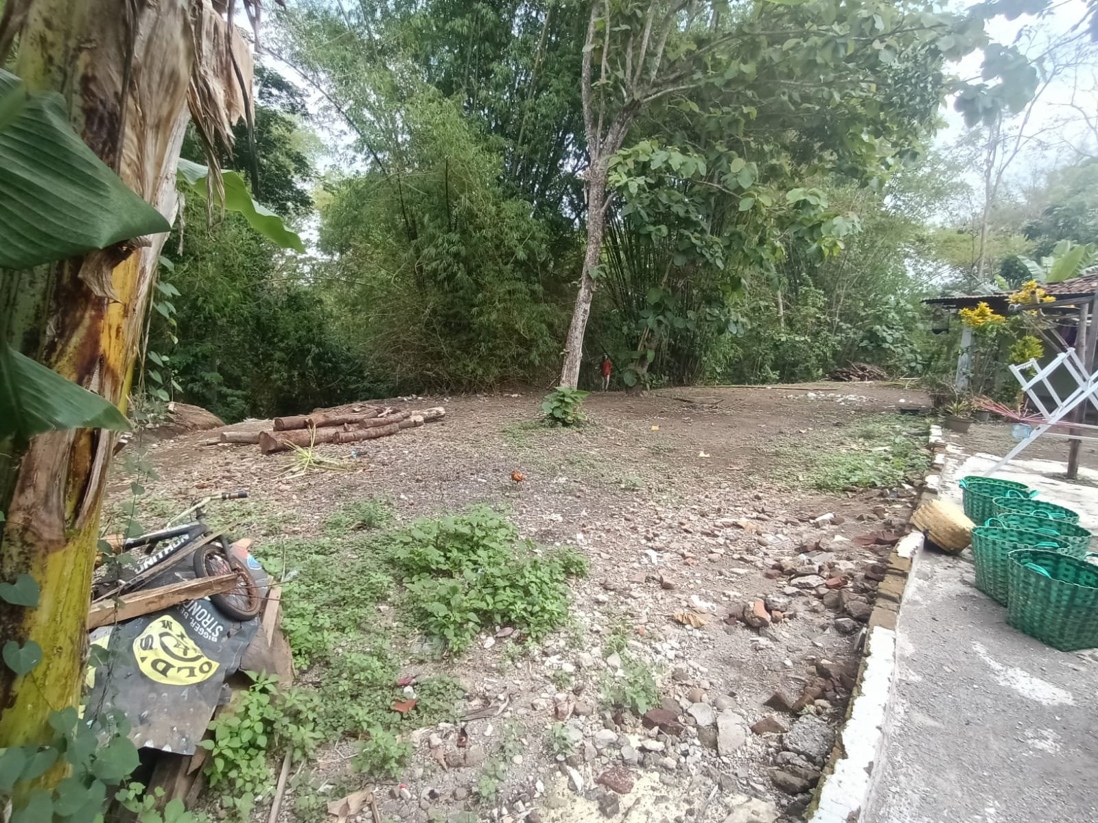 WhatsApp Image 2023-12-06 at 12.05.13