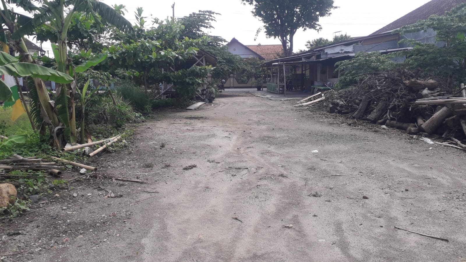 WhatsApp Image 2023-12-07 at 13.24.45