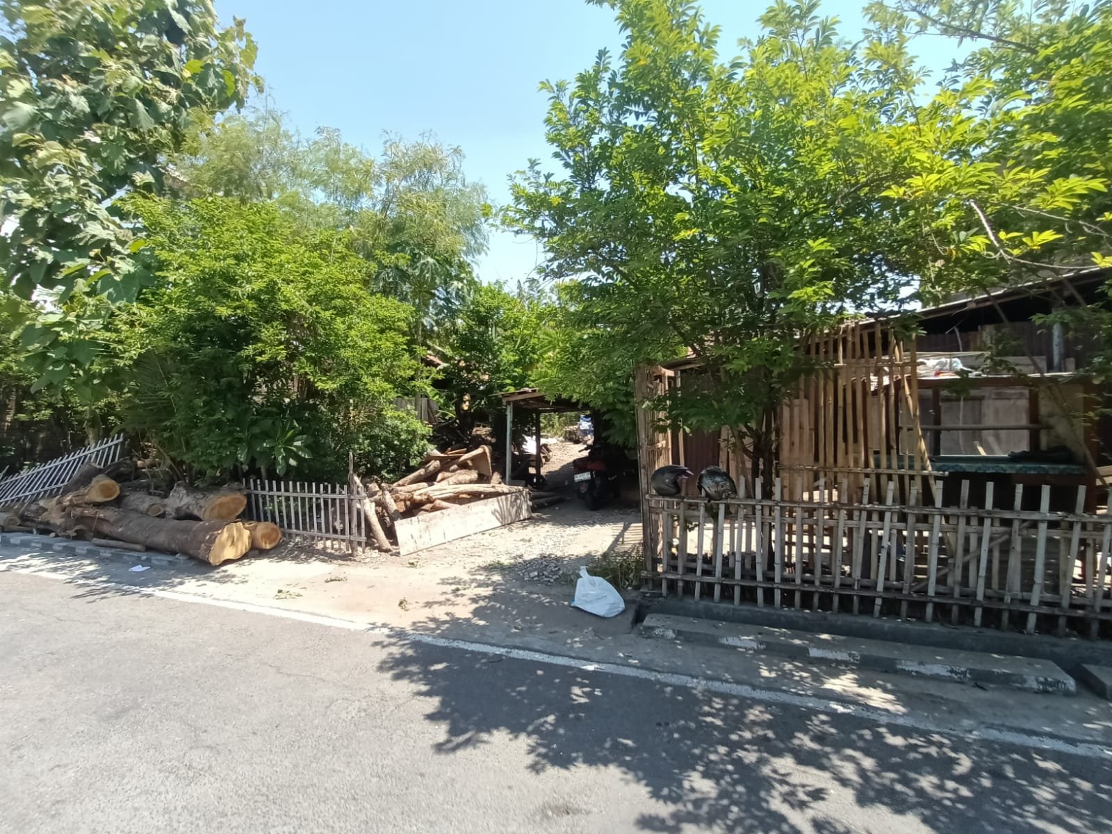 WhatsApp Image 2024-01-13 at 10.20.13