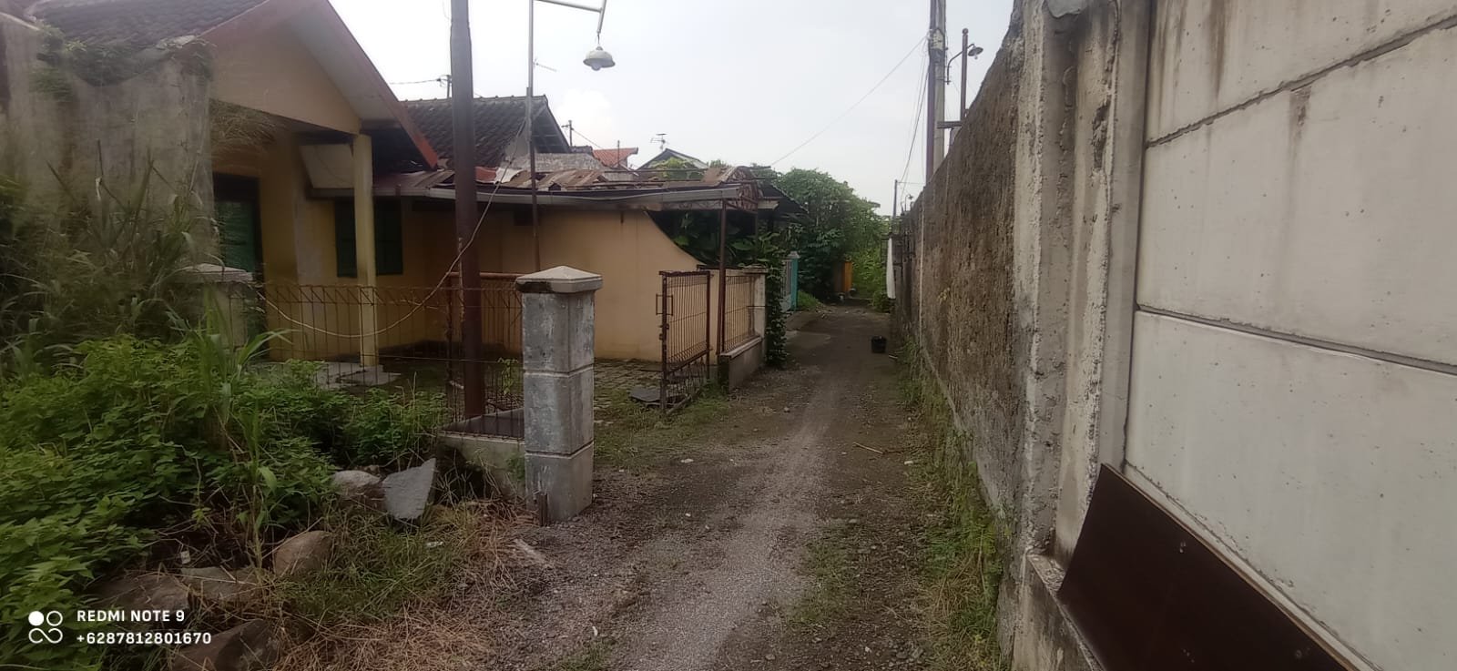 WhatsApp Image 2024-02-28 at 08.04.05