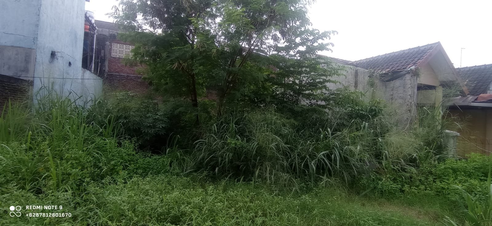 WhatsApp Image 2024-02-28 at 08.04.06