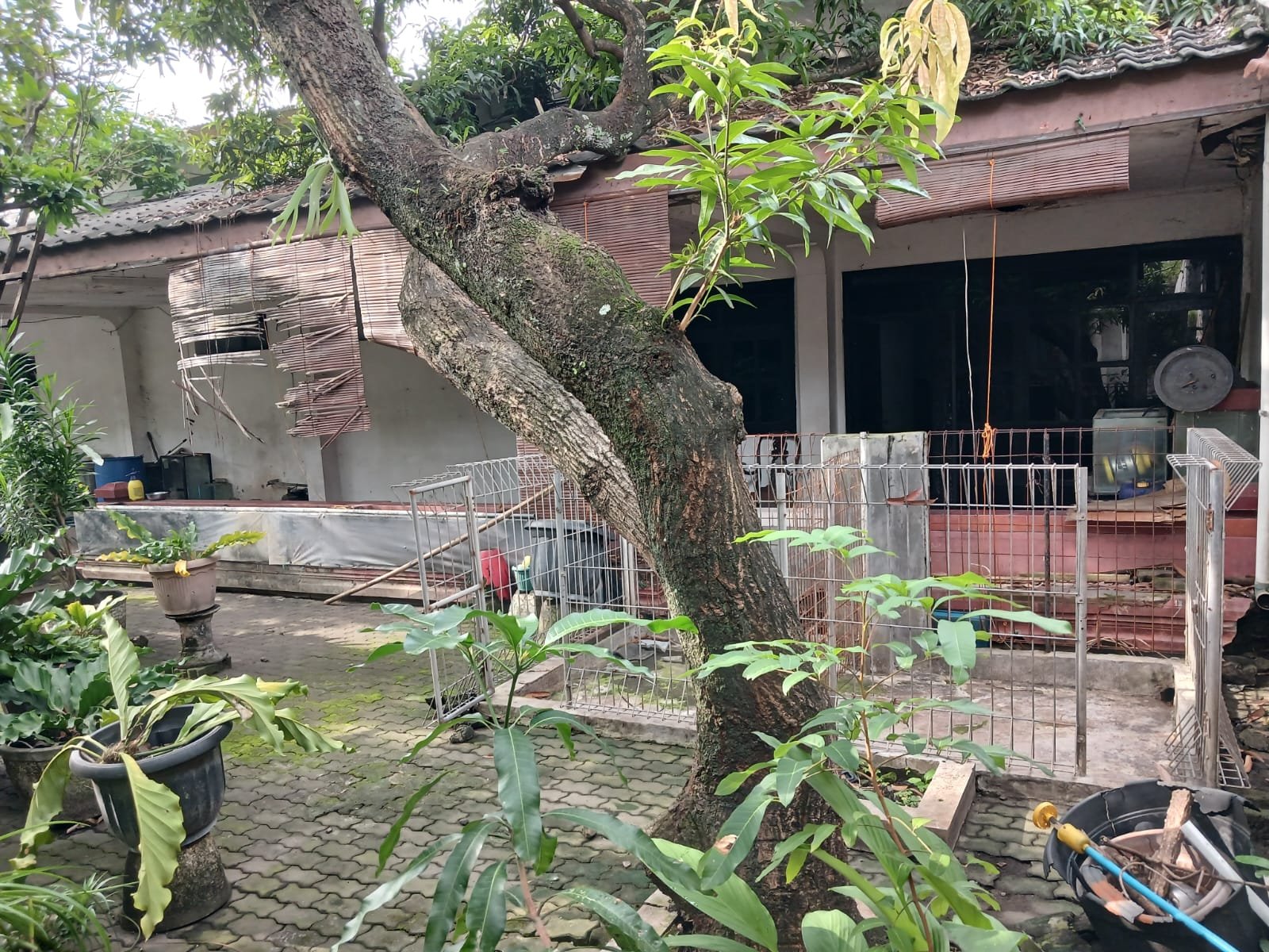 WhatsApp Image 2024-03-06 at 09.08.14 (1)