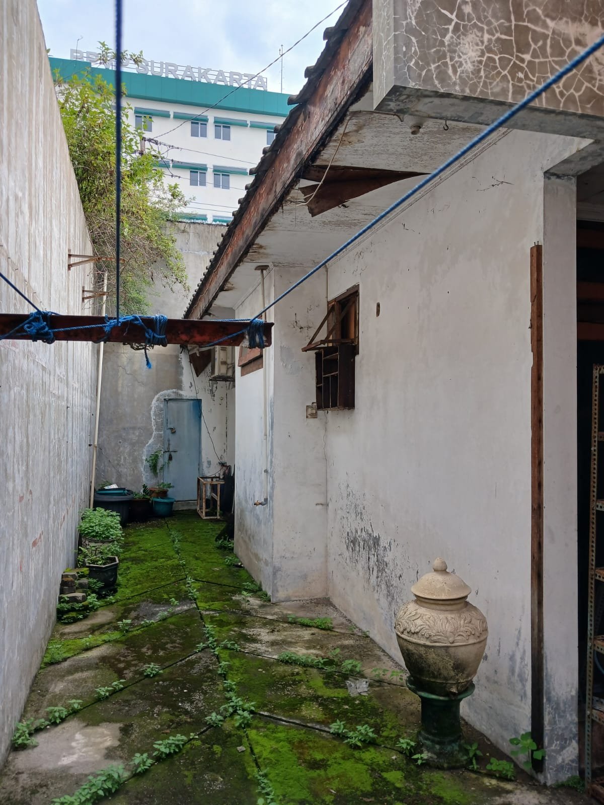 WhatsApp Image 2024-03-06 at 09.08.14 (2)