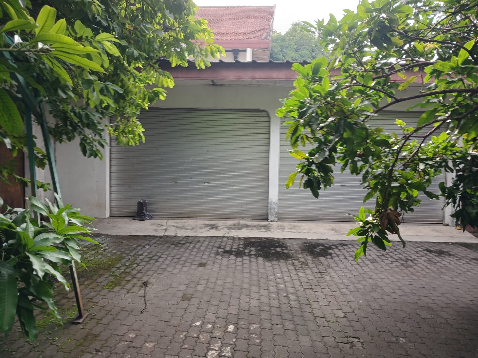 WhatsApp Image 2024-03-06 at 09.08.14