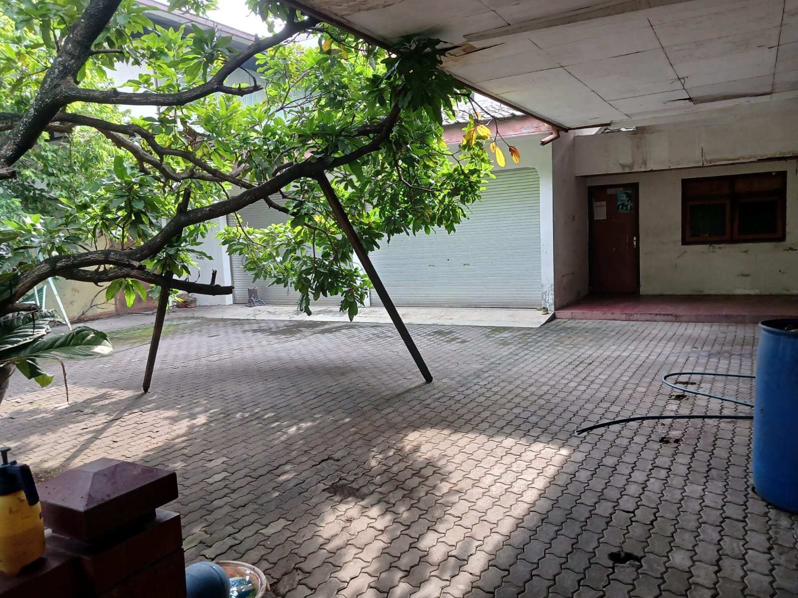 WhatsApp Image 2024-03-06 at 09.08.15 (1)