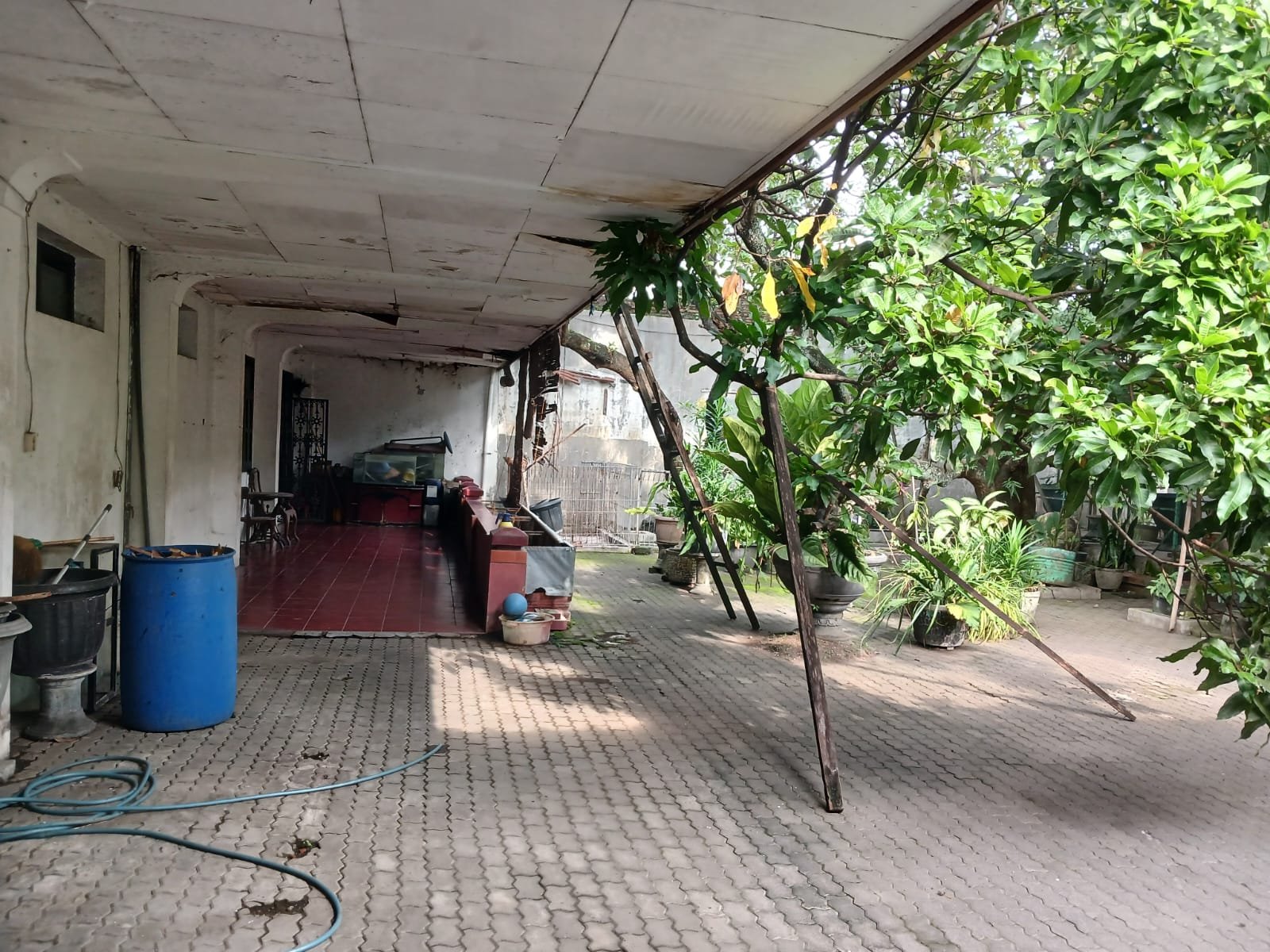 WhatsApp Image 2024-03-06 at 09.08.15