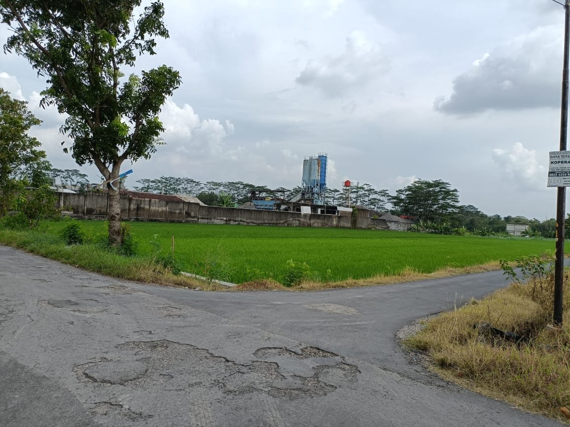 WhatsApp Image 2024-03-07 at 13.17.40