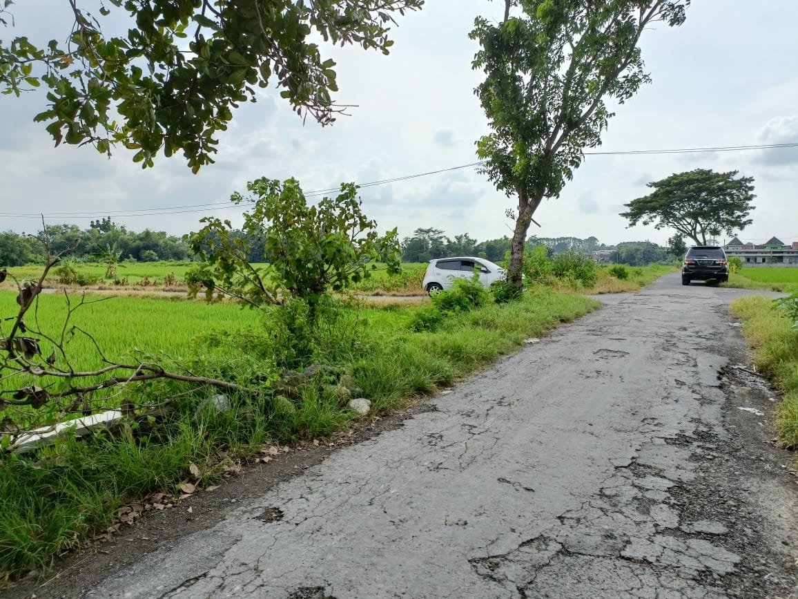 WhatsApp Image 2024-03-07 at 13.17.41 (1)