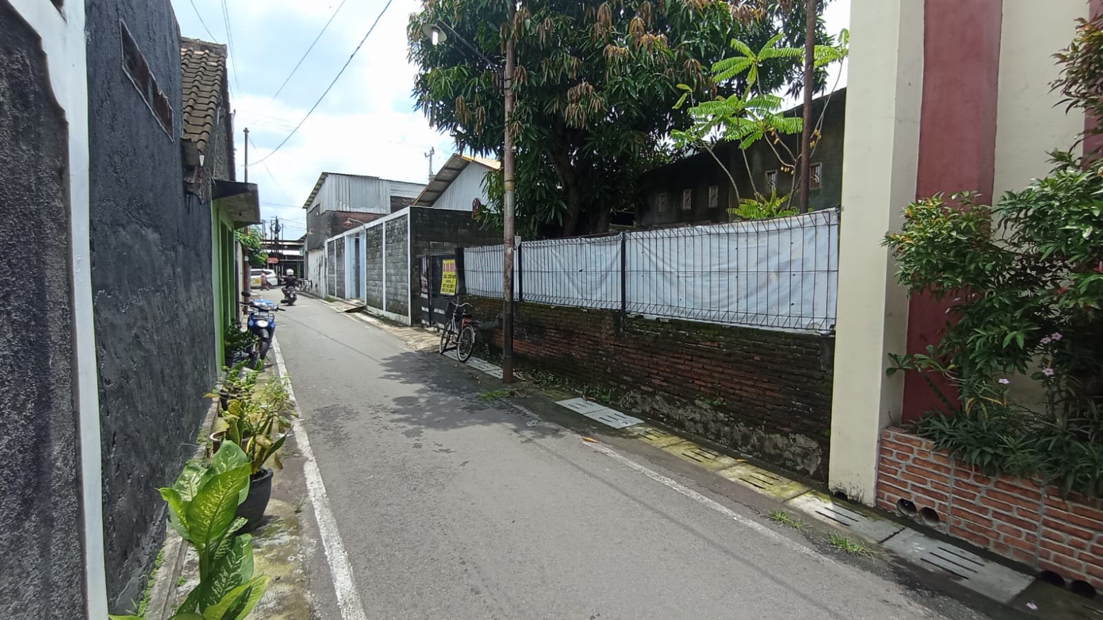 WhatsApp Image 2024-03-09 at 10.14.38