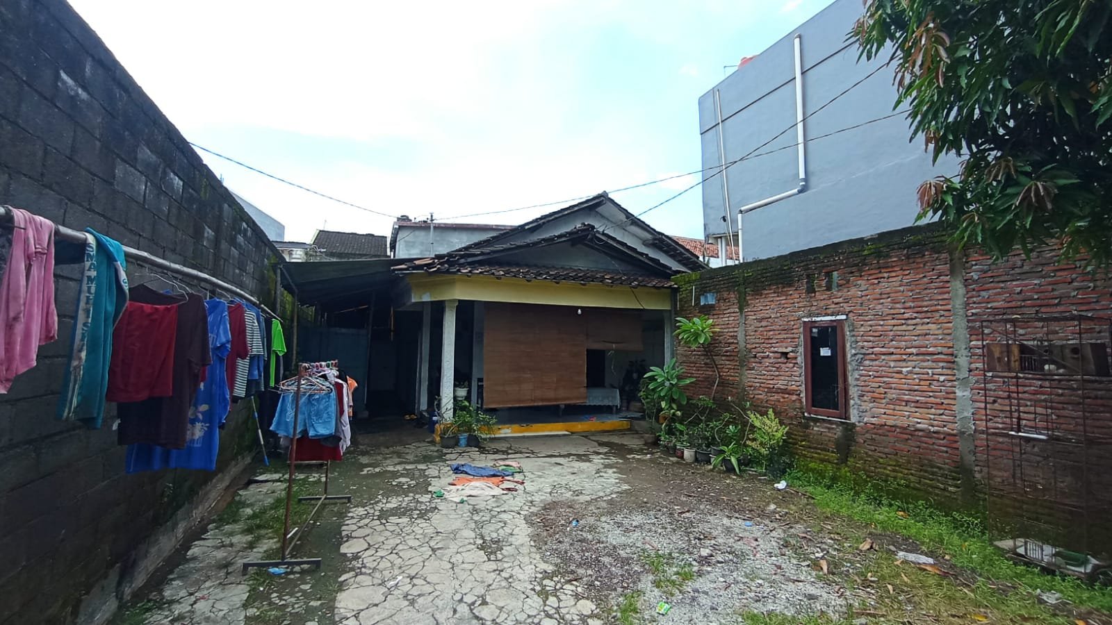 WhatsApp Image 2024-03-09 at 10.14.42