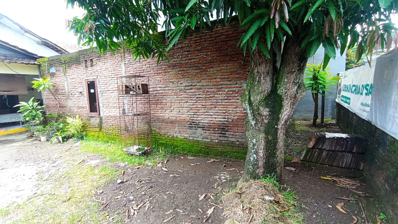 WhatsApp Image 2024-03-09 at 10.14.44 (2)