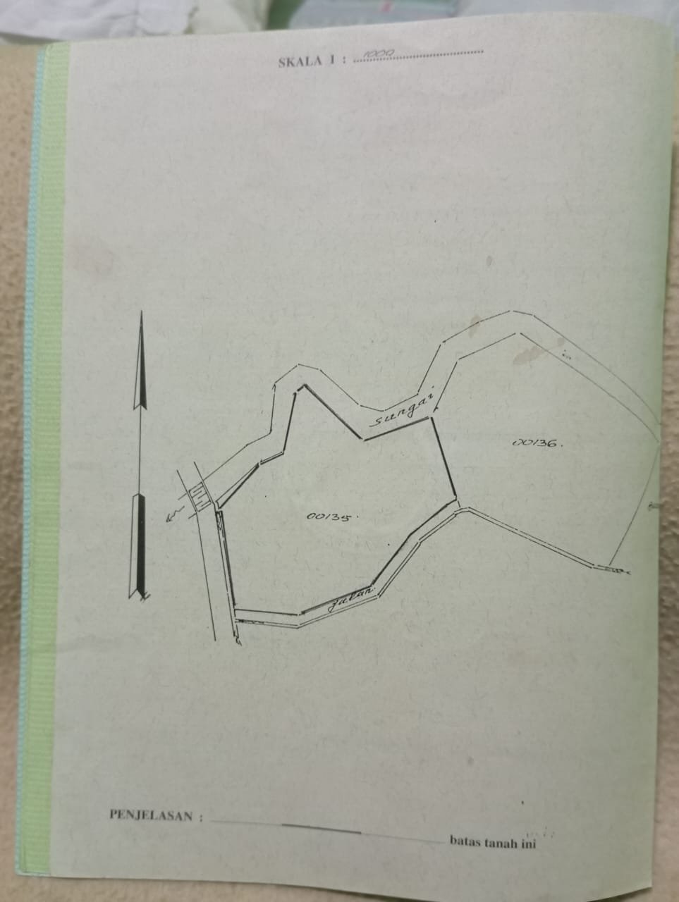 WhatsApp Image 2024-03-12 at 11.46.18