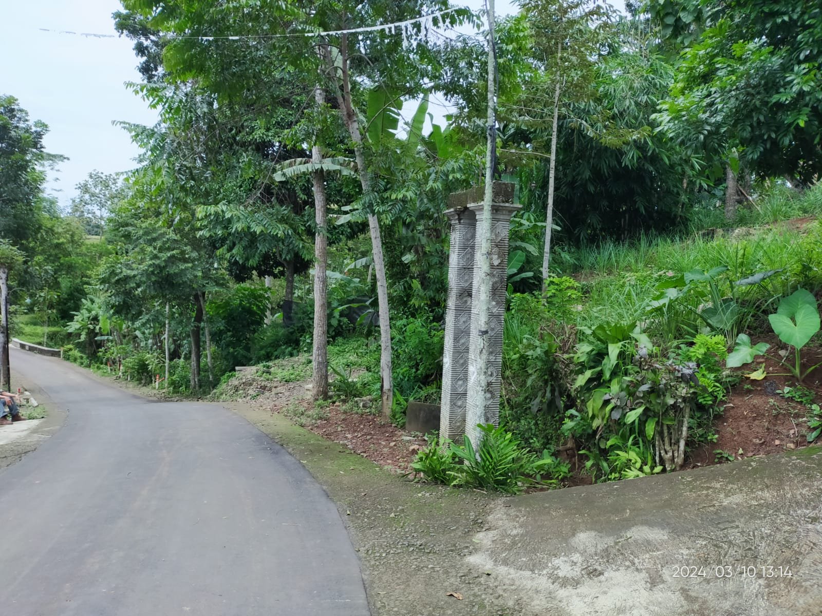 WhatsApp Image 2024-03-12 at 12.17.09