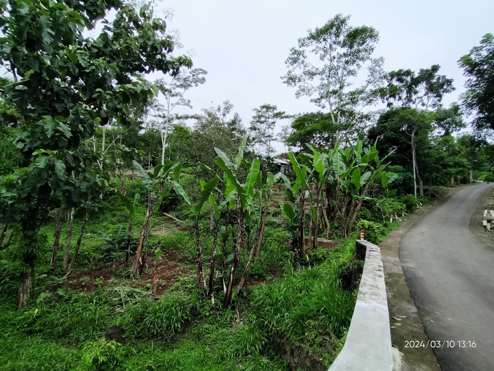 WhatsApp Image 2024-03-12 at 12.18.39 (1)