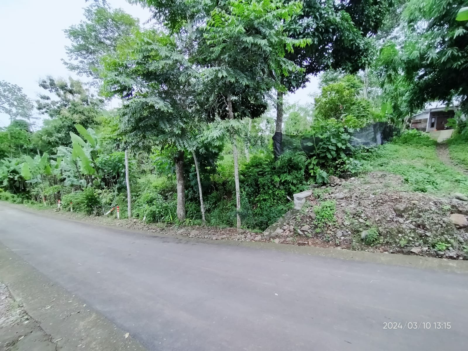 WhatsApp Image 2024-03-12 at 12.18.39 (2)