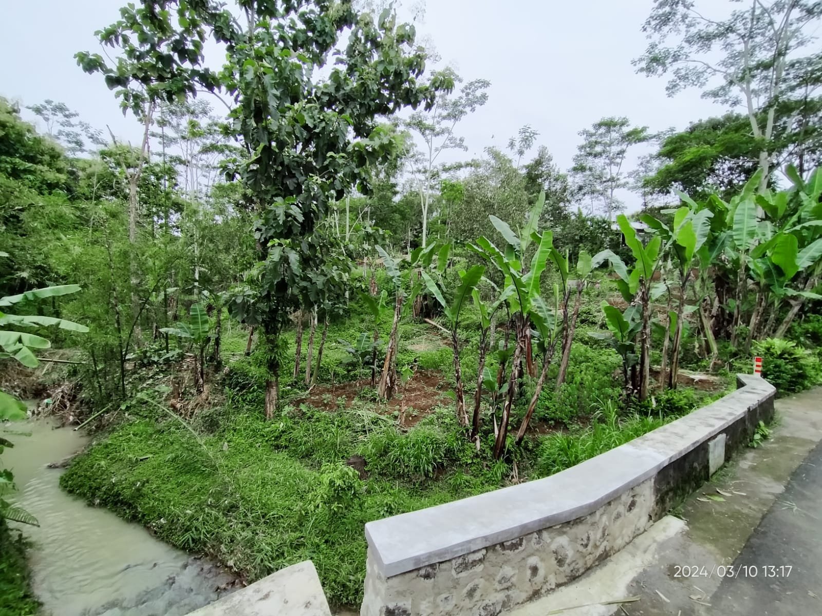 WhatsApp Image 2024-03-12 at 12.18.40 (1)