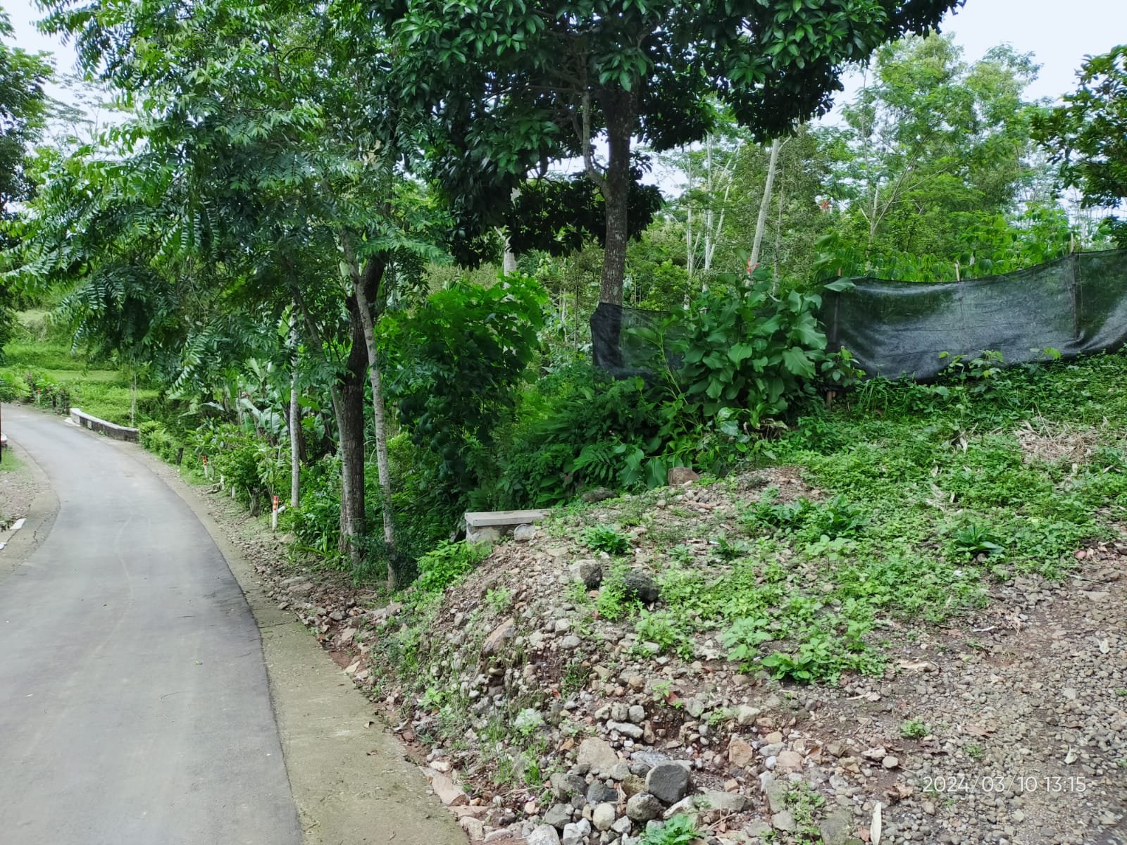 WhatsApp Image 2024-03-12 at 12.18.40