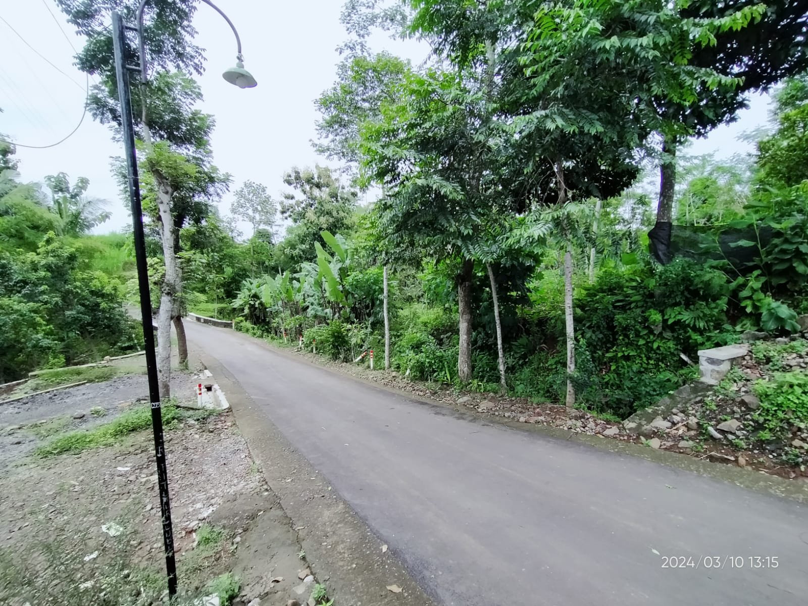 WhatsApp Image 2024-03-12 at 12.18.41