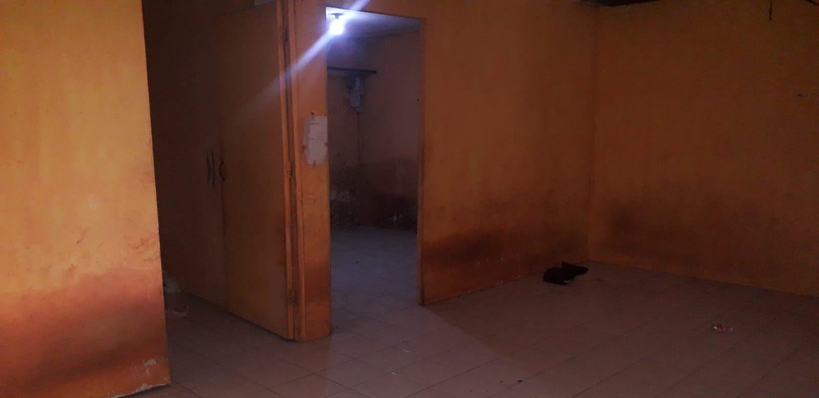 WhatsApp Image 2024-03-22 at 15.05.18