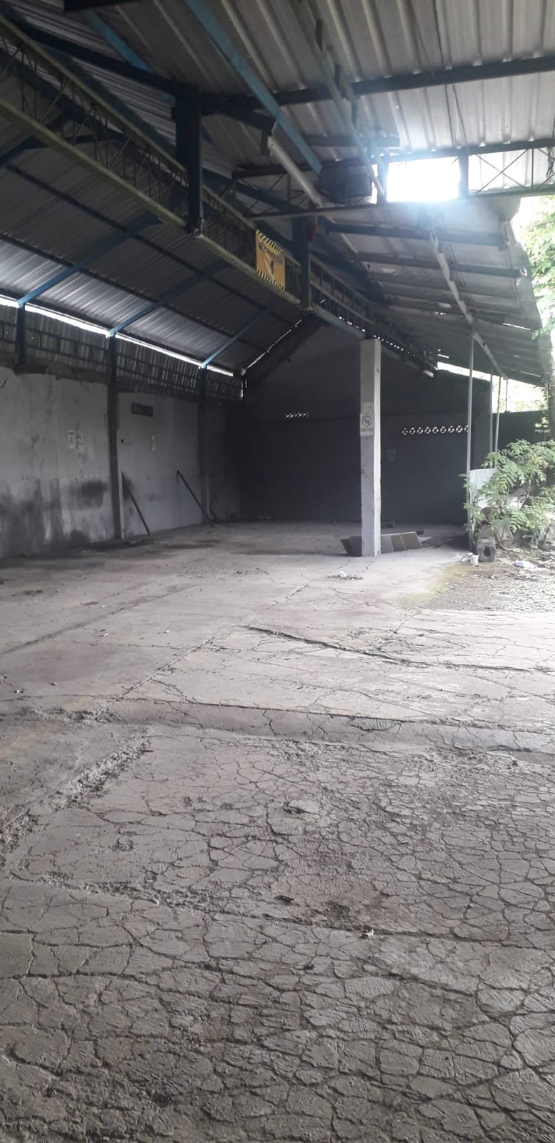 WhatsApp Image 2024-03-22 at 15.05.22