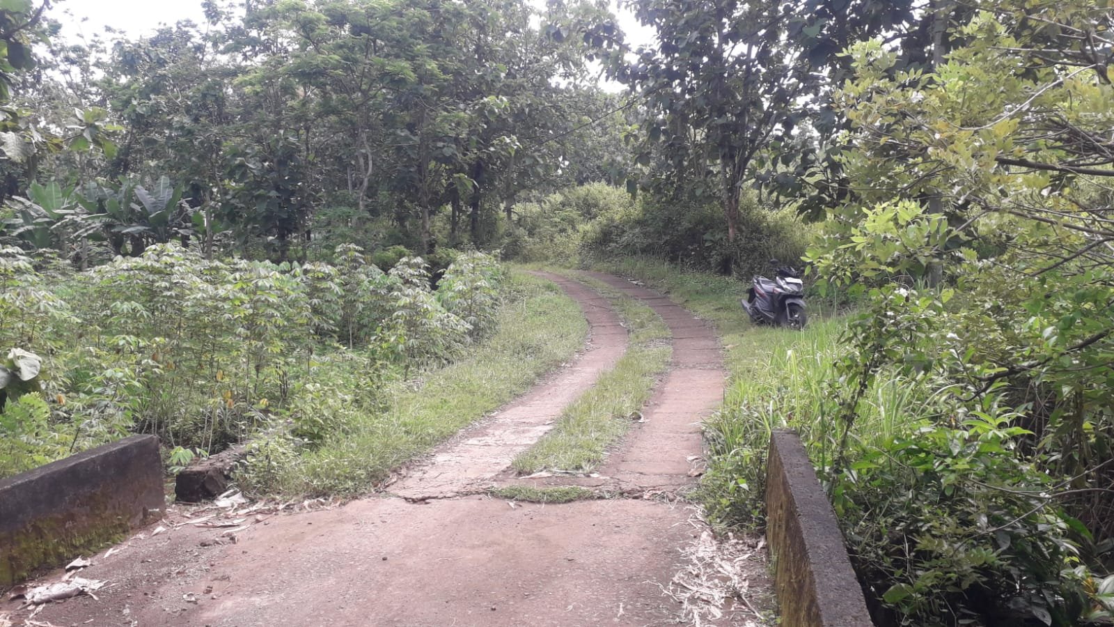 WhatsApp Image 2024-04-20 at 13.16.23