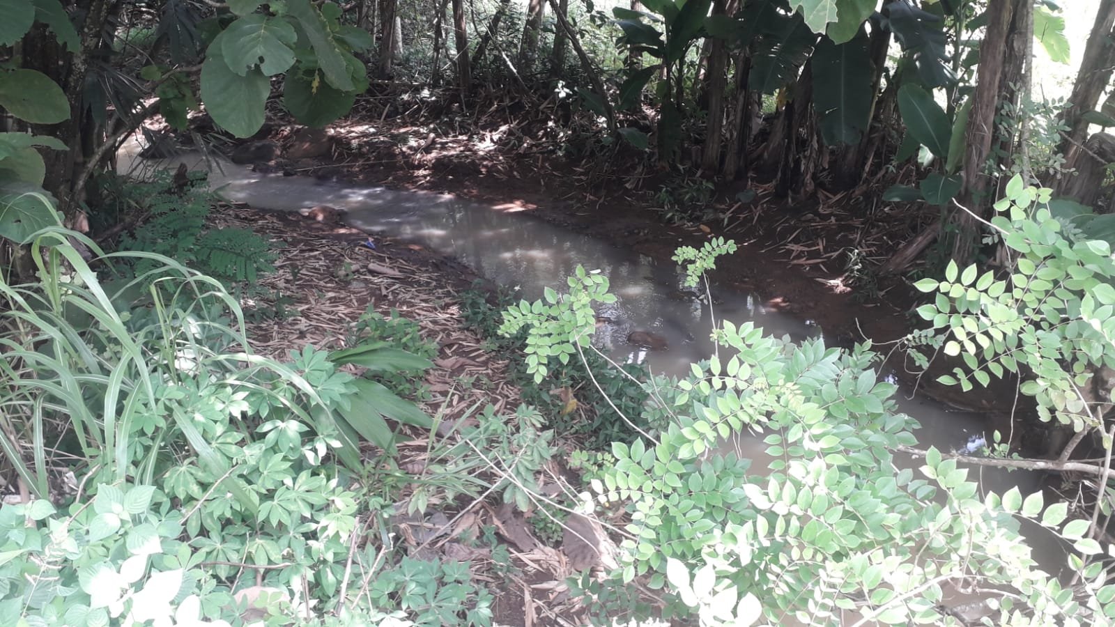 WhatsApp Image 2024-04-20 at 13.16.29