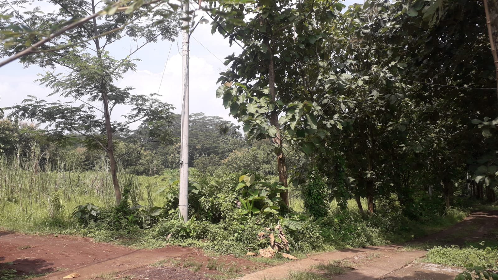 WhatsApp Image 2024-04-20 at 13.16.30 (1)