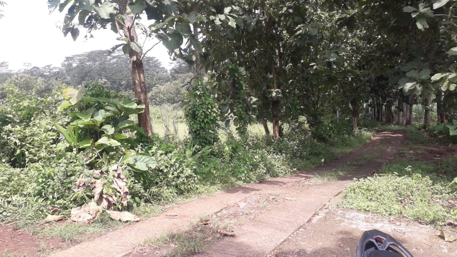 WhatsApp Image 2024-04-20 at 13.16.30 (2)