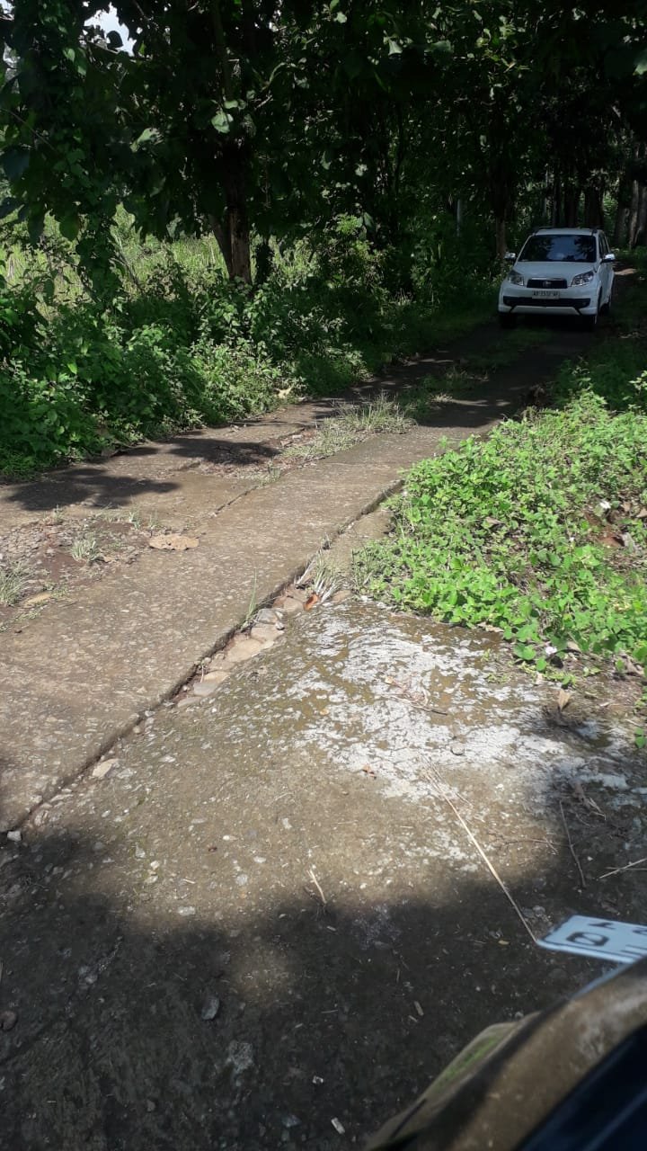 WhatsApp Image 2024-04-20 at 13.17.15