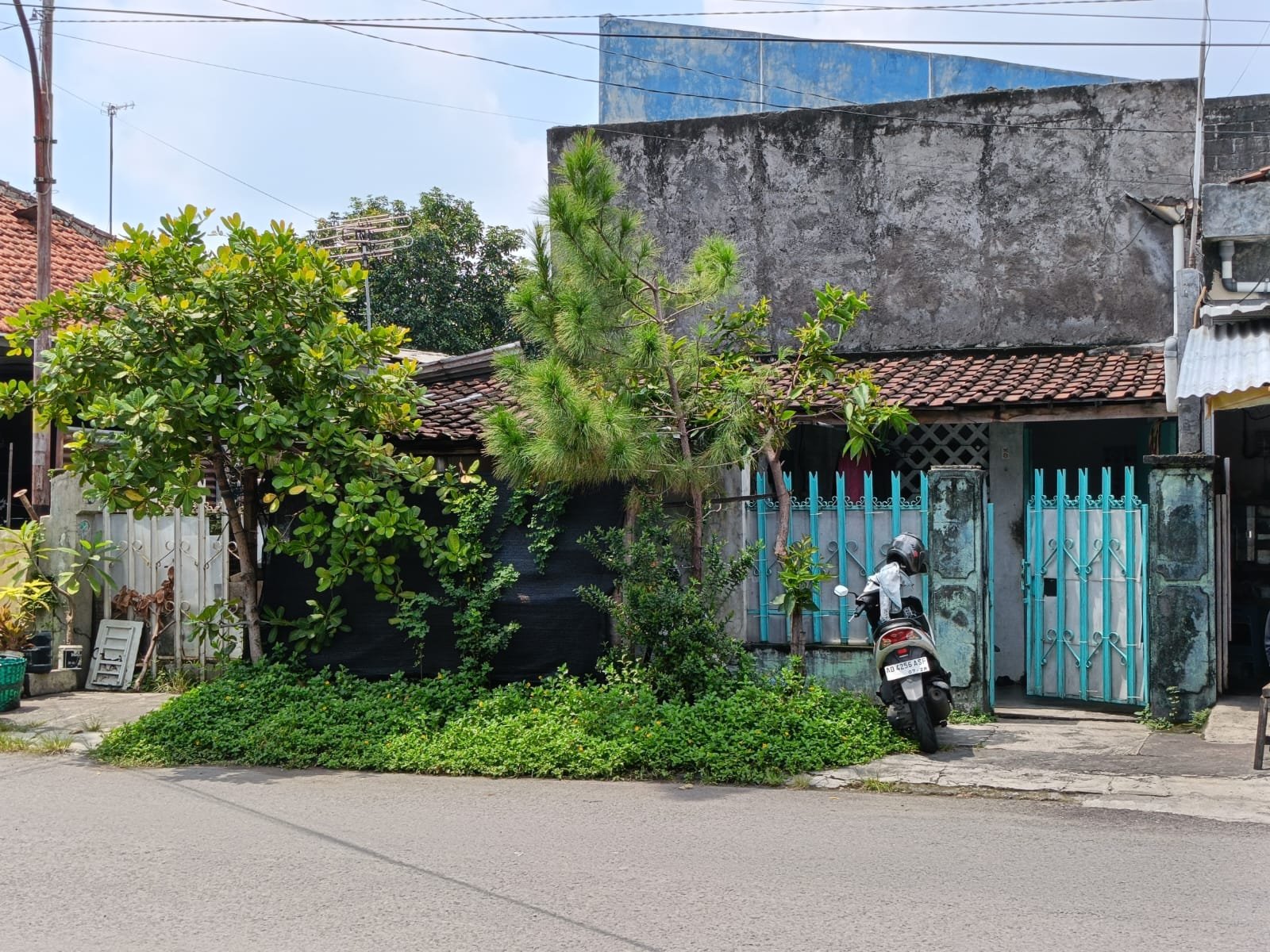 WhatsApp Image 2024-04-26 at 15.36.18