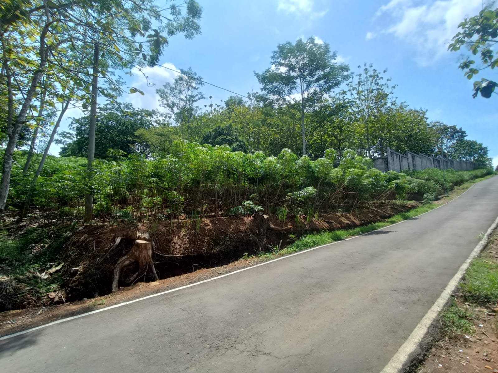 WhatsApp Image 2024-05-18 at 12.28.48