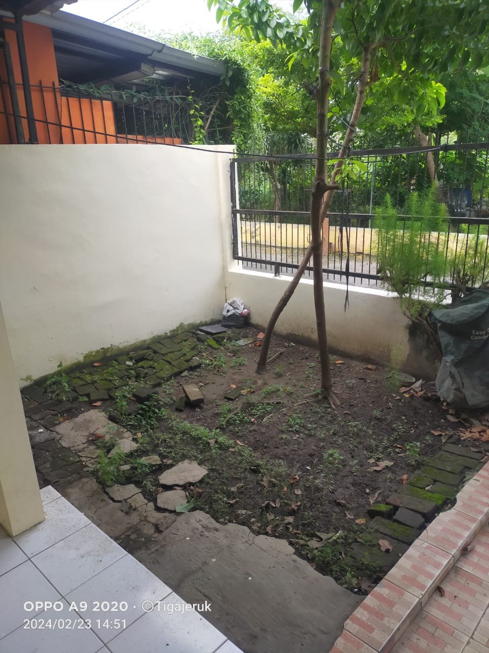 WhatsApp Image 2024-05-24 at 12.39.29 (1)