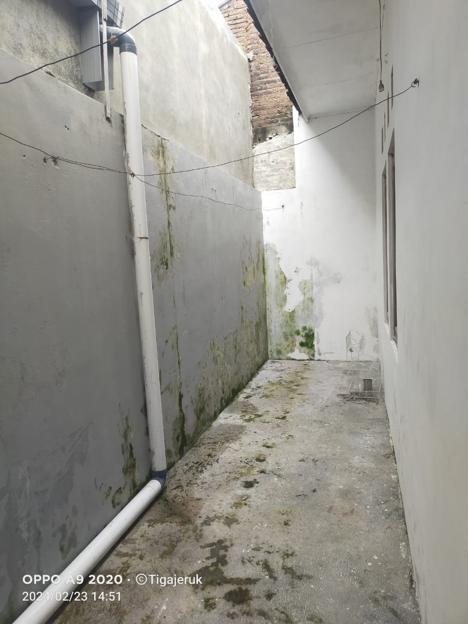 WhatsApp Image 2024-05-24 at 12.39.31 (1)