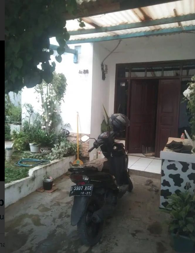 WhatsApp Image 2024-07-11 at 19.30.52