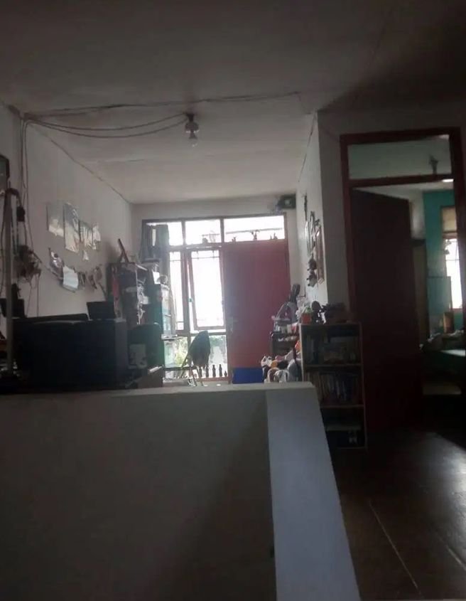 WhatsApp Image 2024-07-11 at 19.30.53