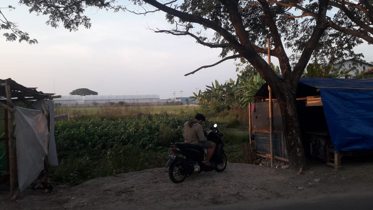 WhatsApp Image 2024-07-20 at 14.41.15