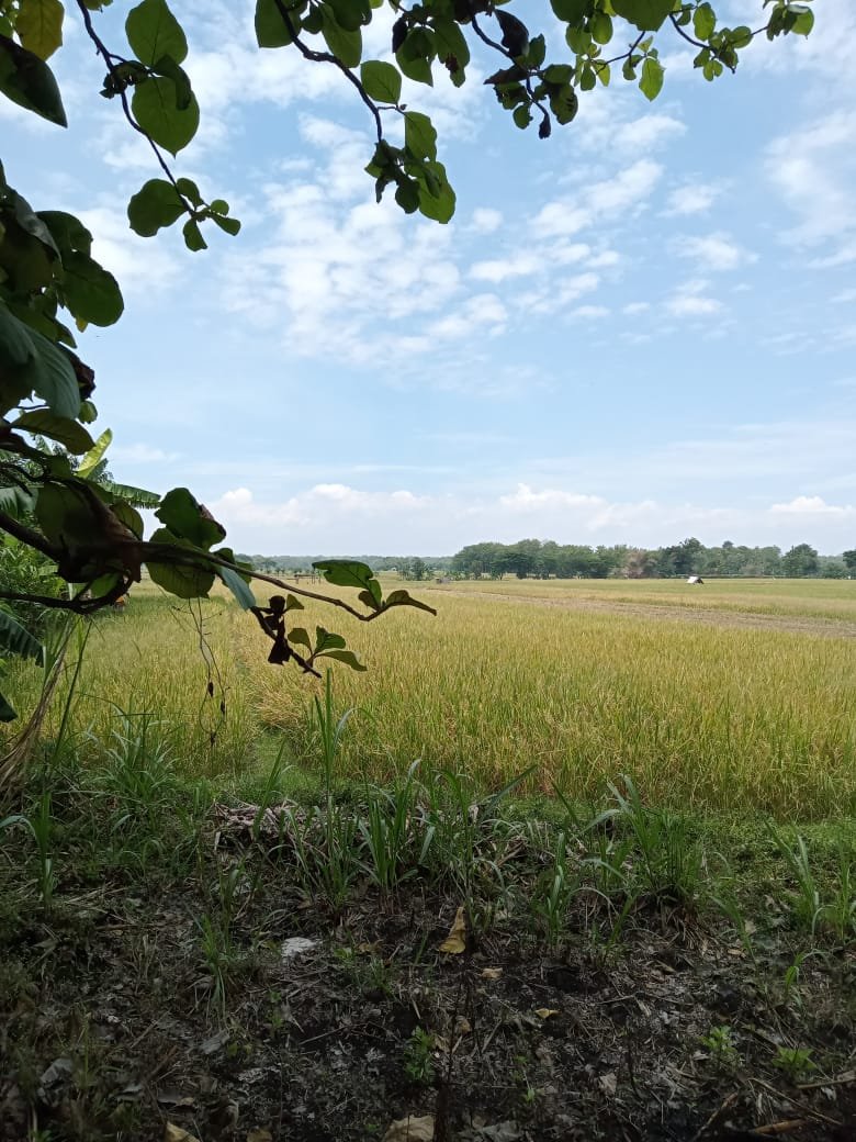 WhatsApp Image 2024-07-27 at 11.54.22 (1)