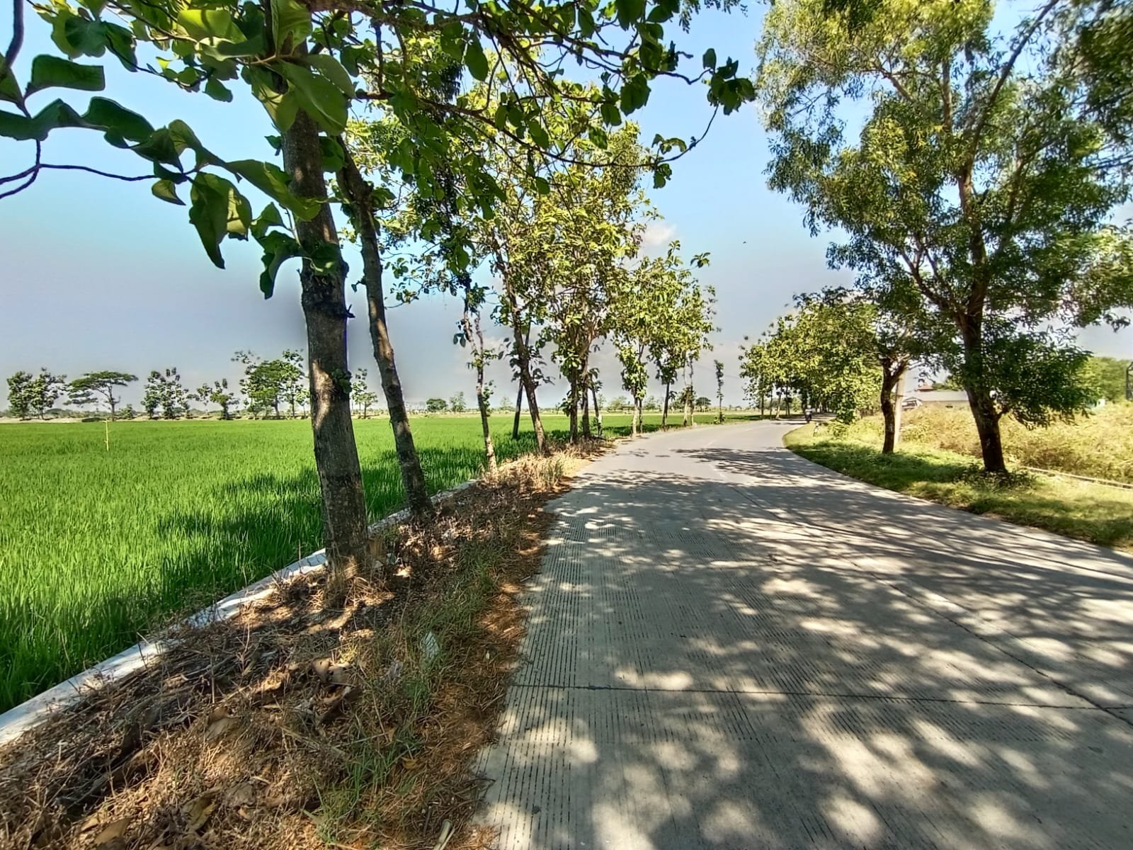 WhatsApp Image 2024-07-27 at 11.54.23