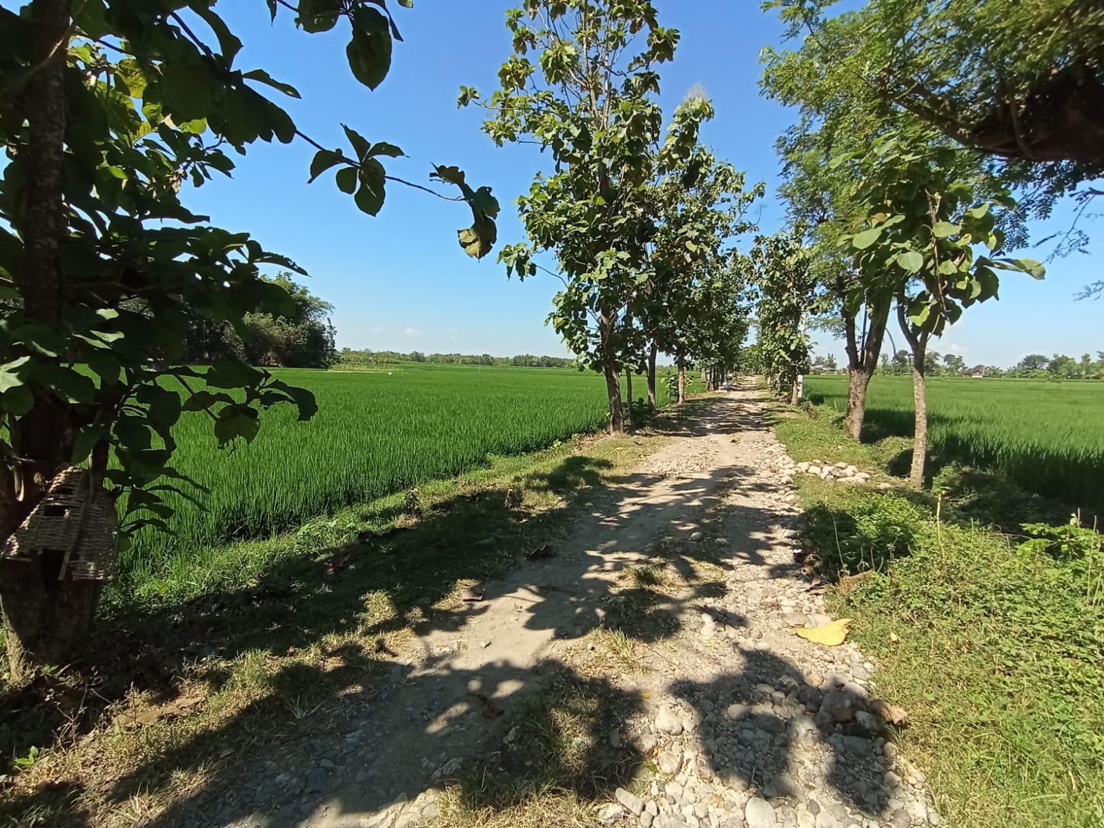 WhatsApp Image 2024-07-27 at 11.54.24 (2)