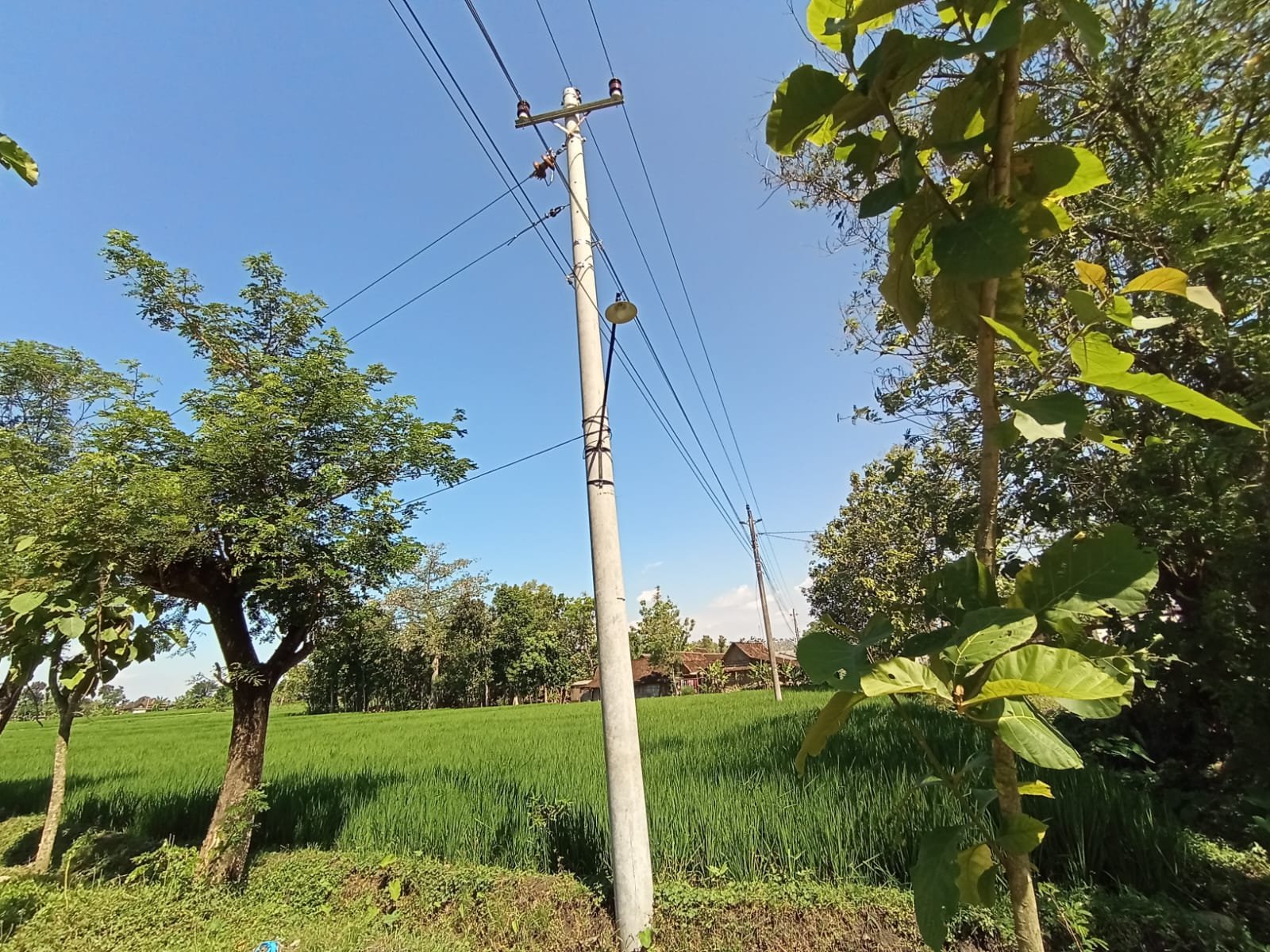 WhatsApp Image 2024-07-27 at 11.54.24