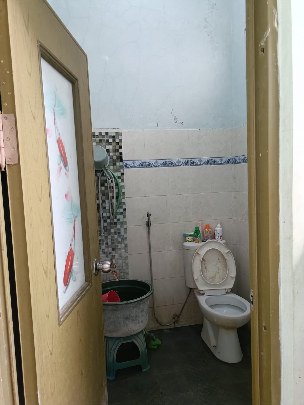 WhatsApp Image 2024-08-03 at 10.10.14 (1)