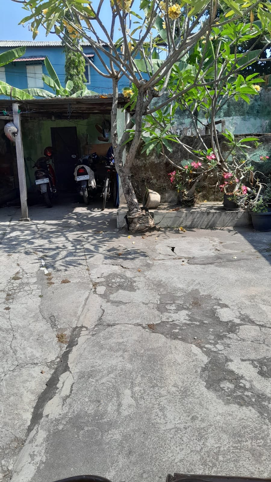 WhatsApp Image 2024-08-16 at 11.18.31 (2)