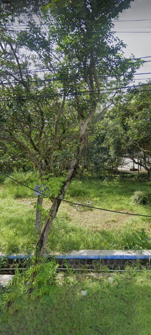 WhatsApp Image 2024-08-16 at 11.32.47 (1) copy