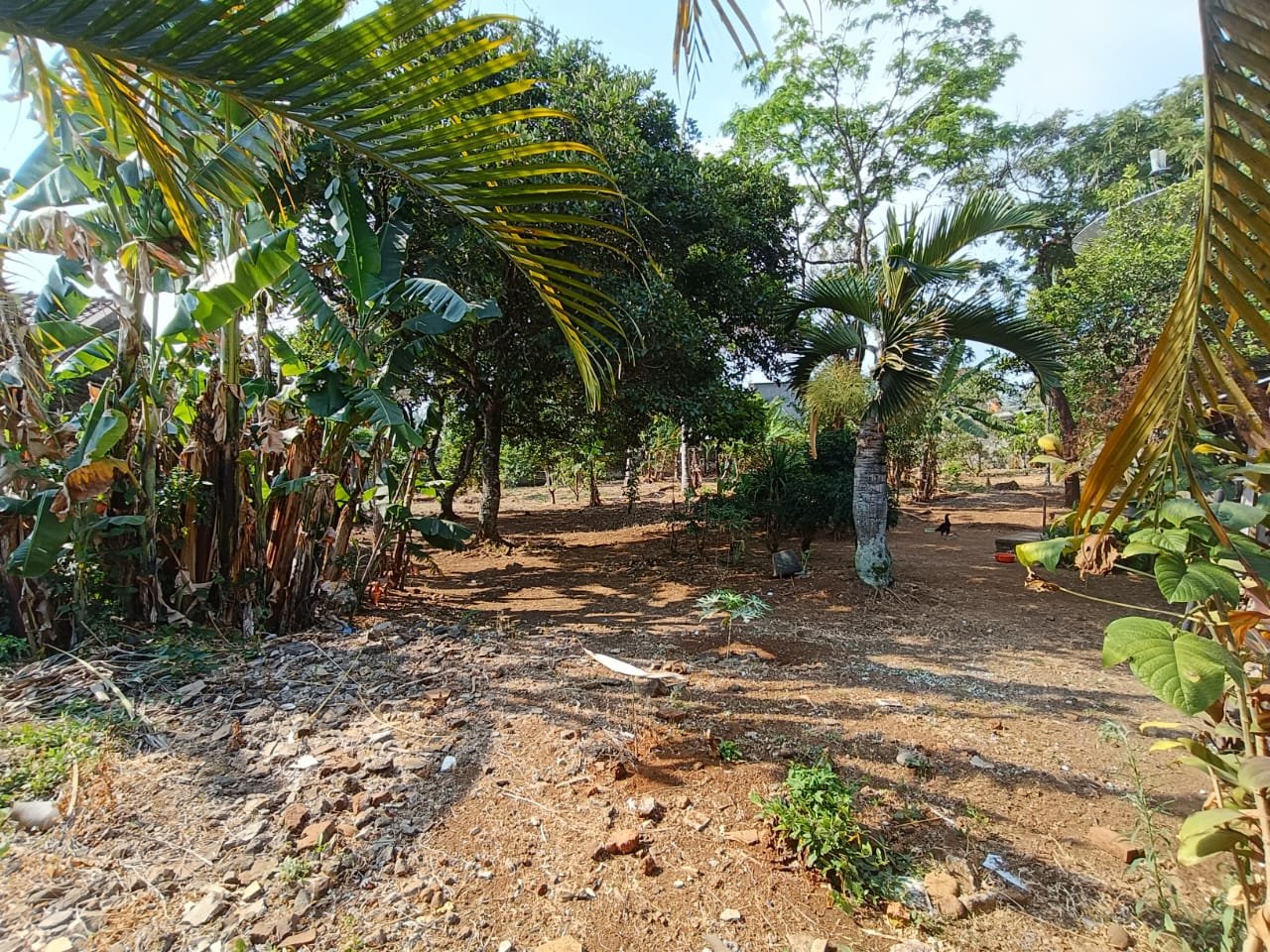 WhatsApp Image 2024-09-07 at 14.47.54