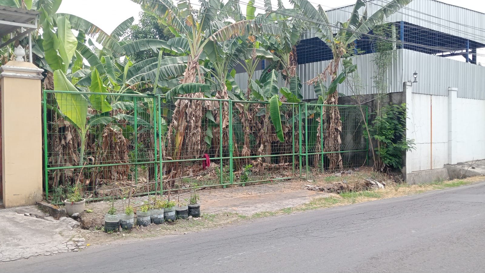 WhatsApp Image 2024-09-23 at 09.49.52