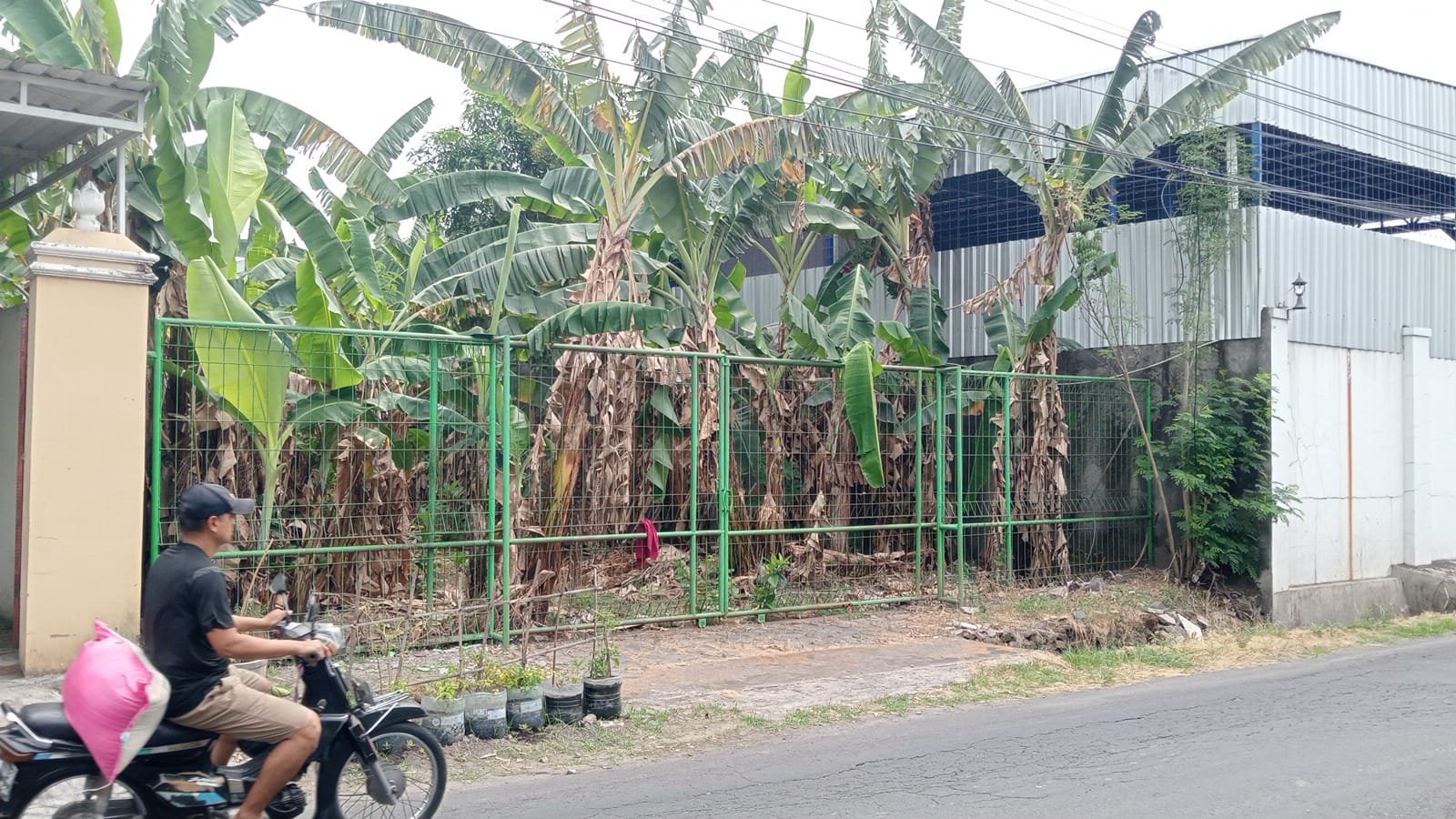 WhatsApp Image 2024-09-23 at 09.51.40 (1)