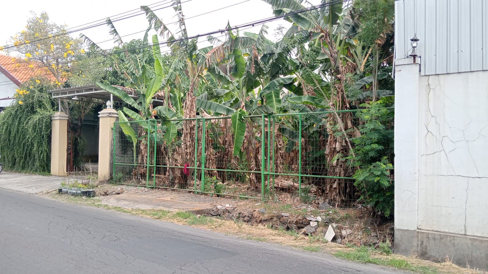 WhatsApp Image 2024-09-23 at 09.51.41