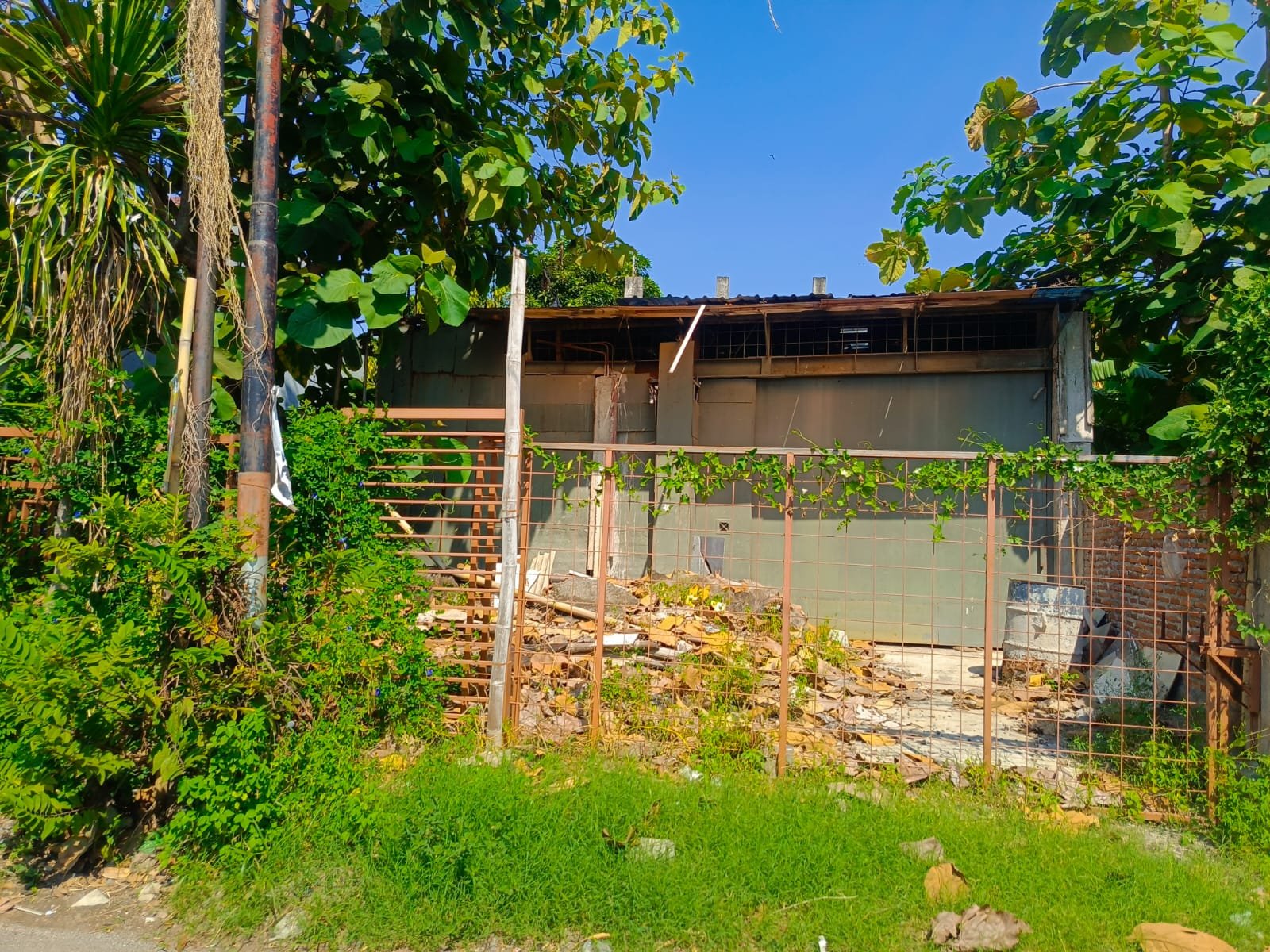 WhatsApp Image 2024-09-30 at 09.07.14 (1)