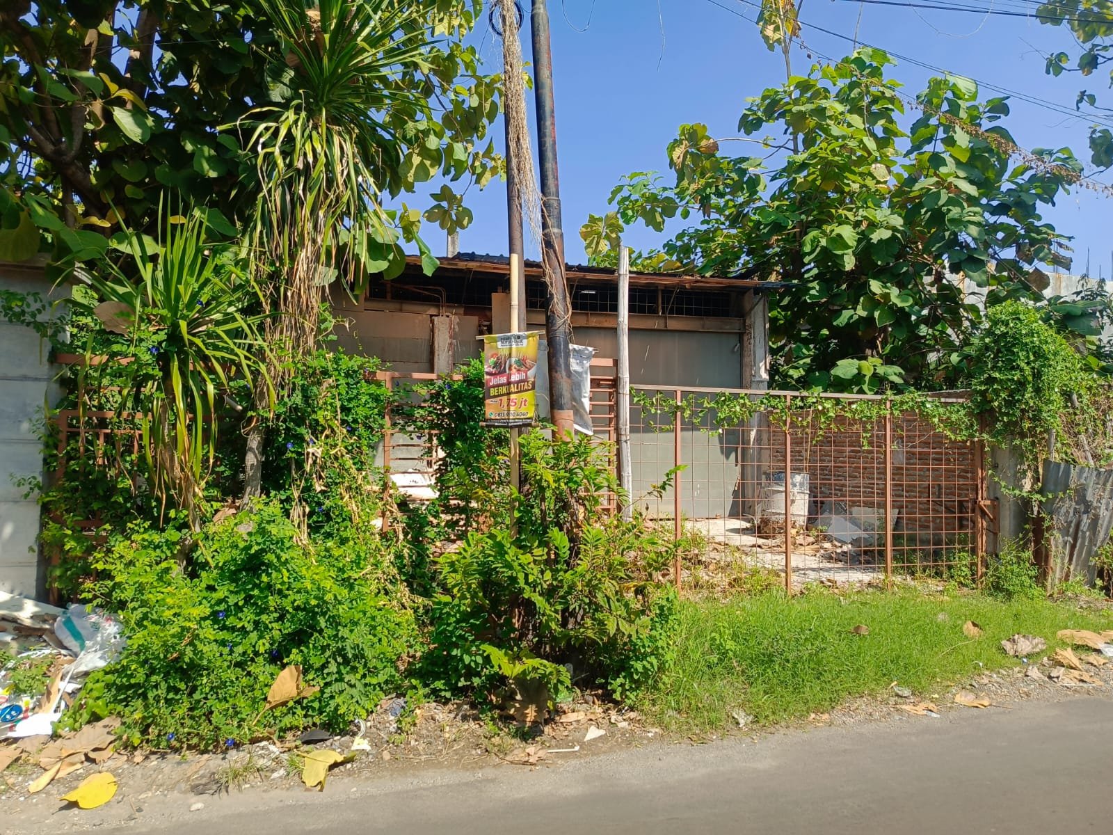 WhatsApp Image 2024-09-30 at 09.07.14