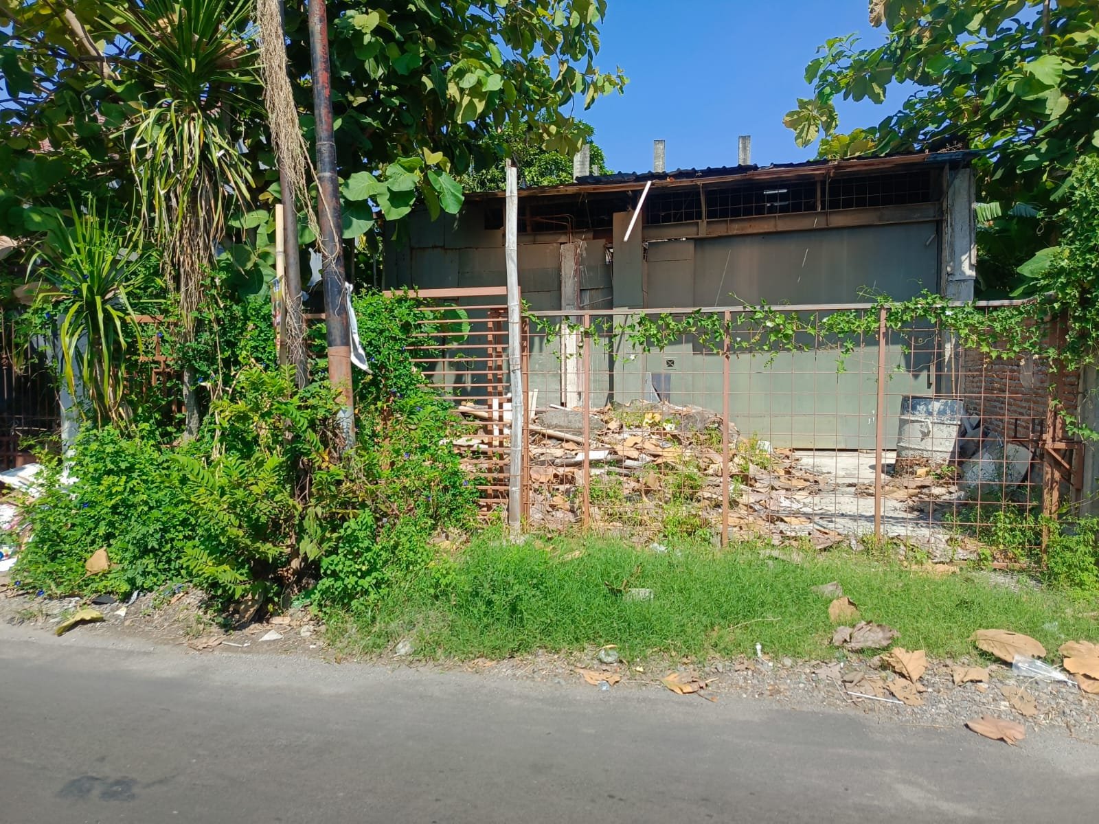 WhatsApp Image 2024-09-30 at 09.07.15 (1)